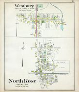 Westbury, North Rose, Wayne County 1904